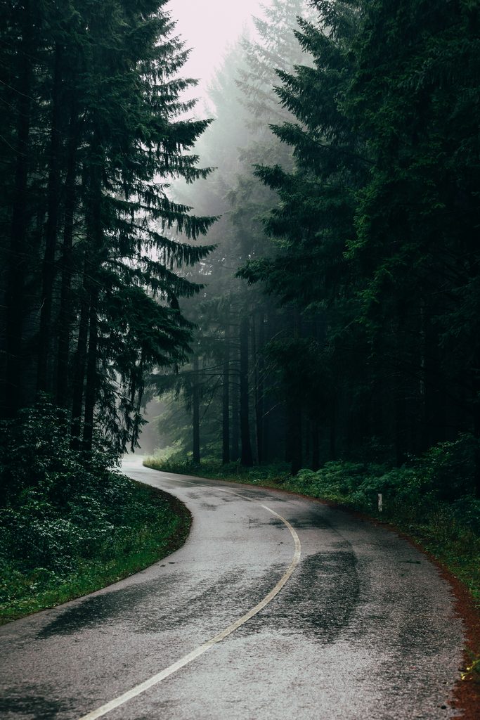 filip-zrnzevic-_EMkxLdko9k-unsplash-1-683x1024.jpg